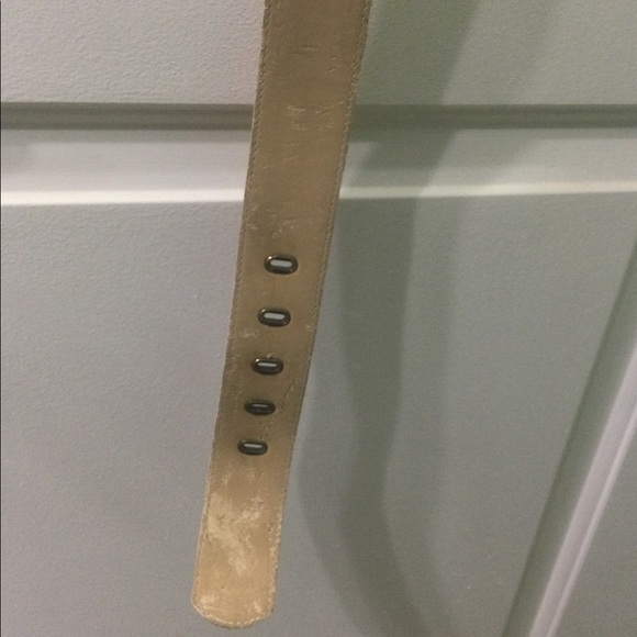 Coldwater Creek belt - Picture 6 of 12